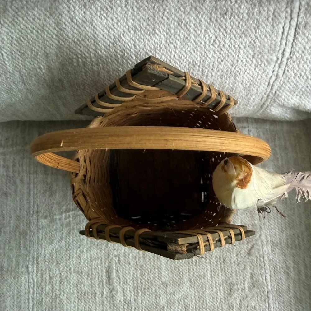 Wicker Birdhouse Basket Bless This Nest W/Bird Figurine & Handle Cottage Core